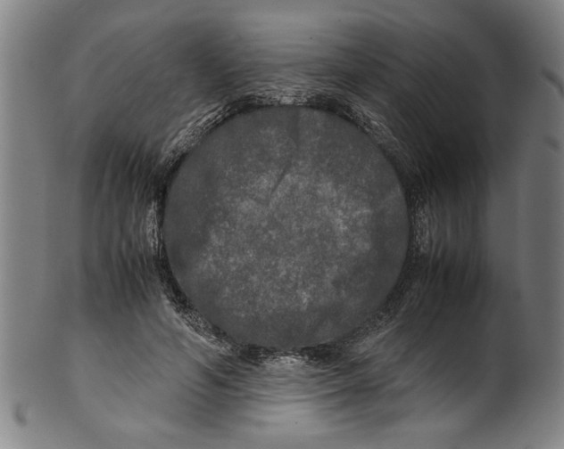 X0000099410594200806060934