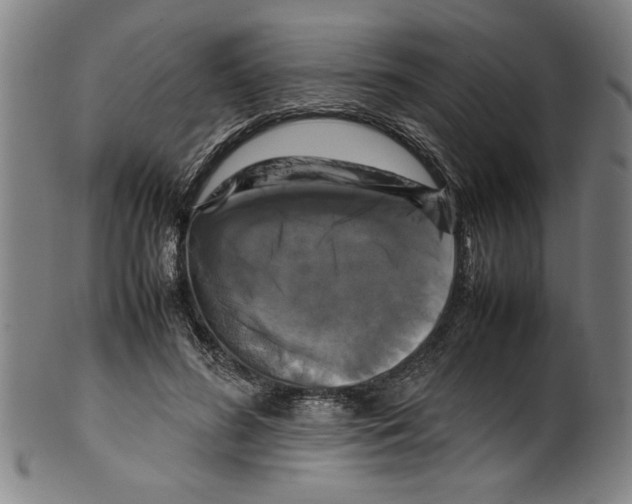 X0000099410596200806060933