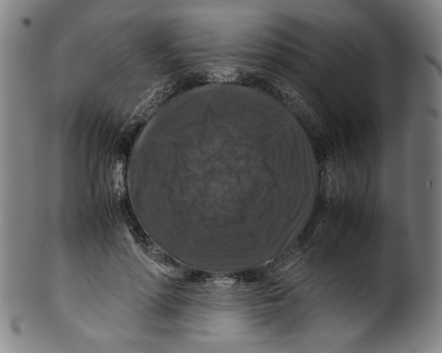 X0000099410598200806060933