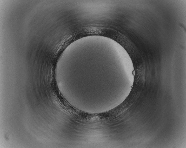 X0000099410600200806060933