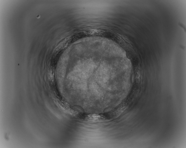 X0000099410607200806060933