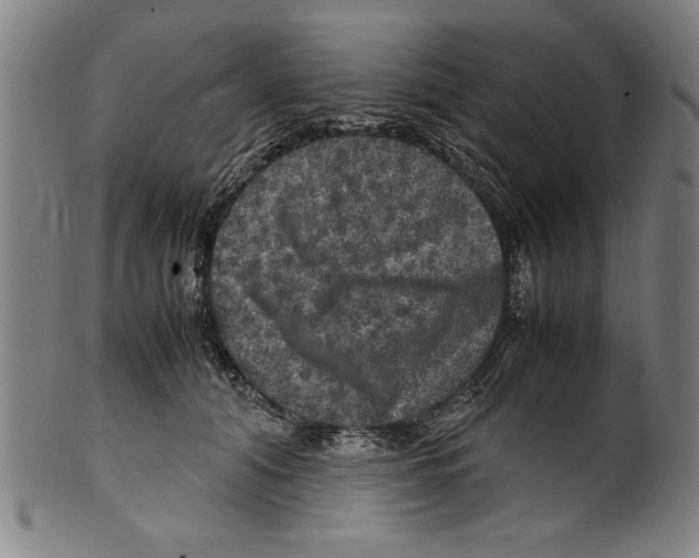 X0000099410608200806060933