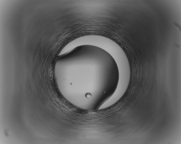 X0000099410609200806060933