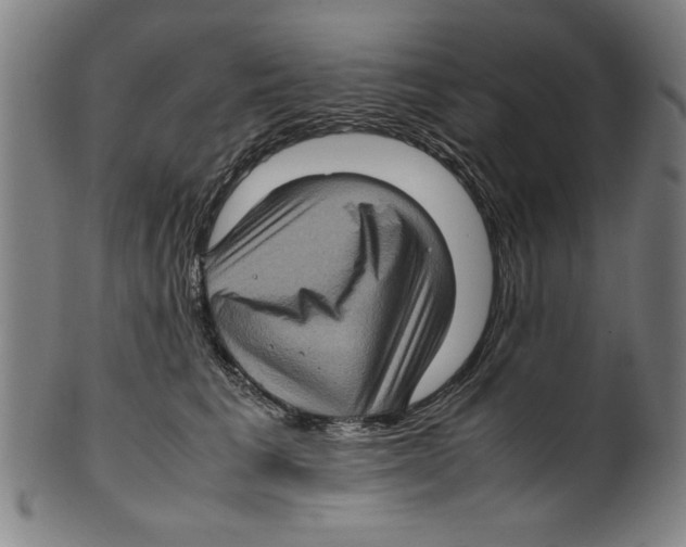 X0000099410613200806060933