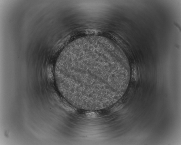 X0000099410616200806060933