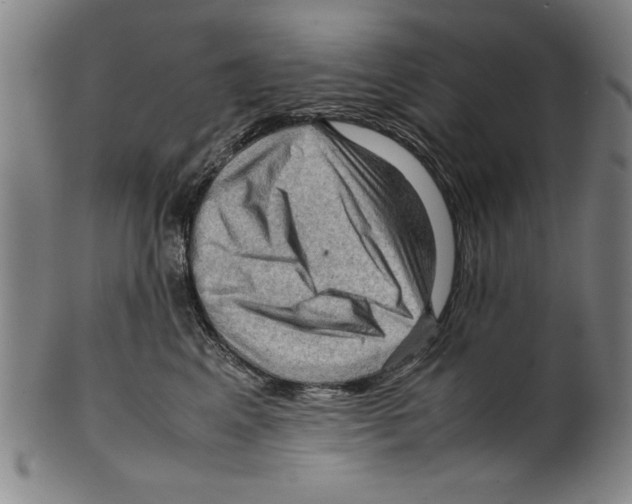 X0000099410617200806060933