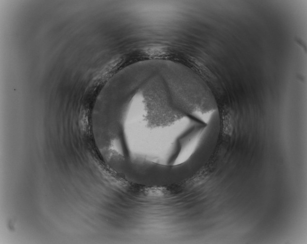 X0000099410618200806060933