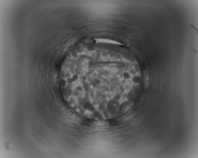 X0000099410619200806060933