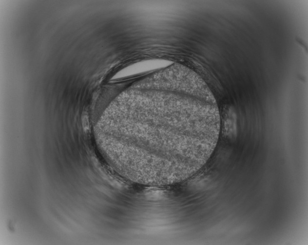 X0000099410620200806060933