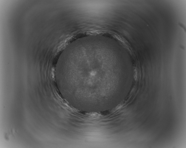 X0000099410621200806060933