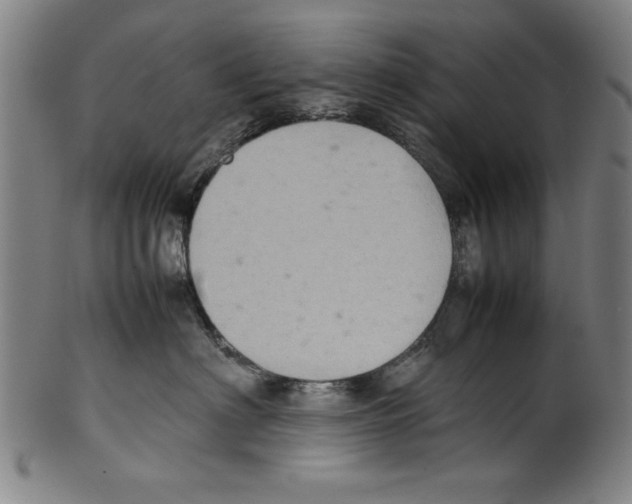 X0000099410622200806060933