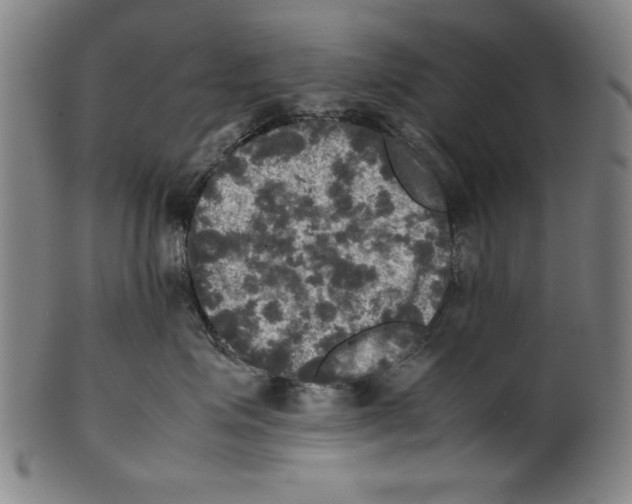 X0000099410623200806060933