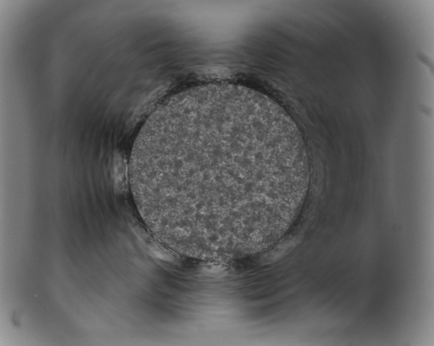 X0000099410624200806060933