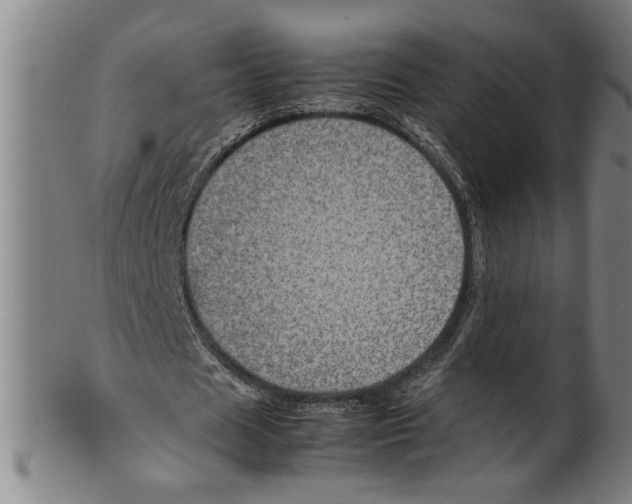 X0000099410625200806060932