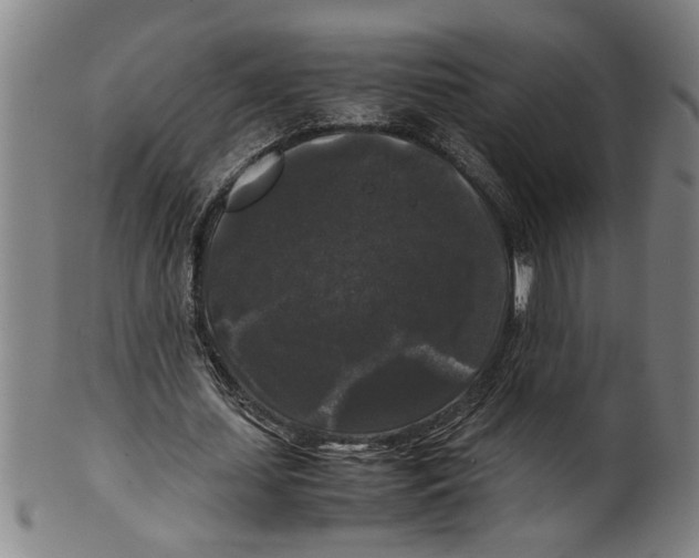 X0000099410627200806060932