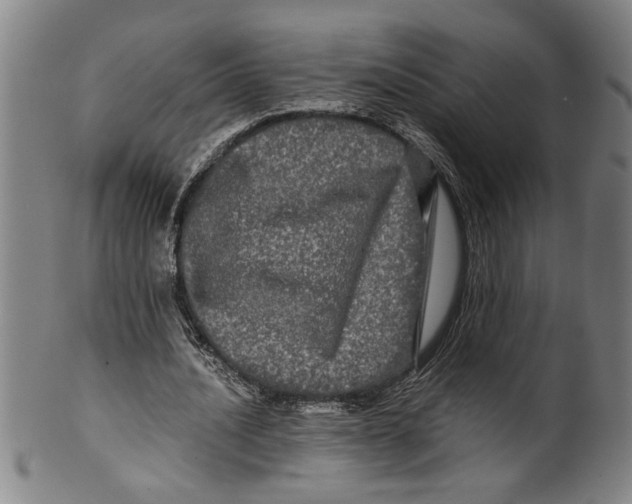 X0000099410628200806060932