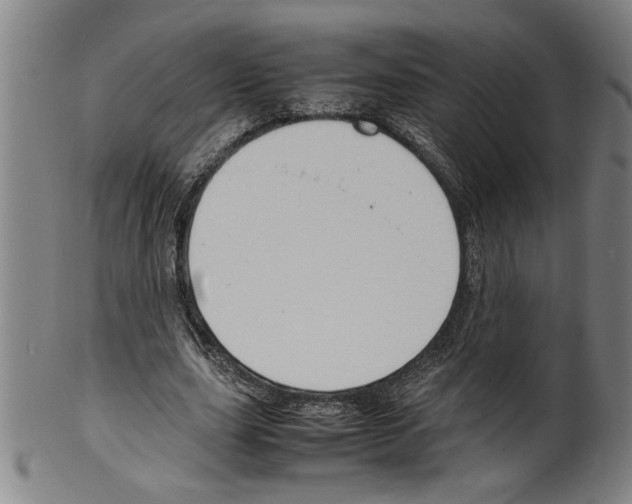 X0000099410631200806060932