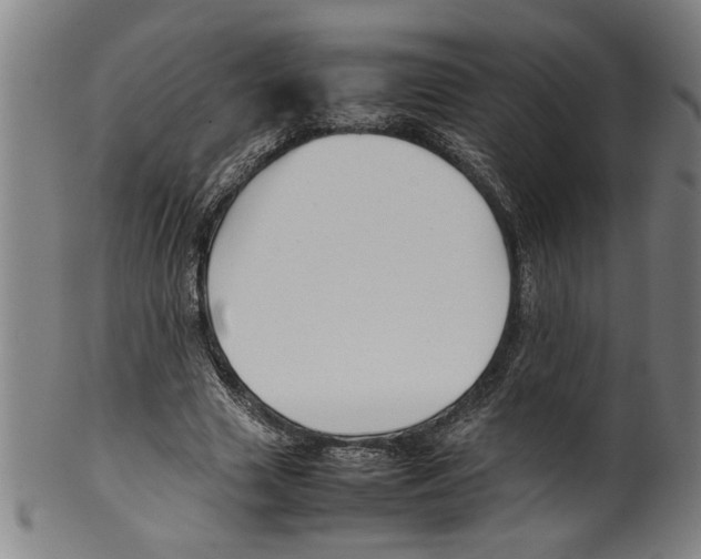 X0000099410633200806060933