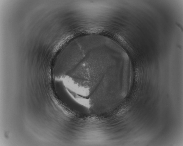 X0000099410634200806060933