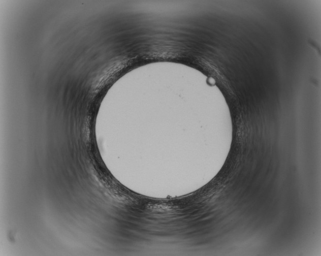 X0000099410635200806060933