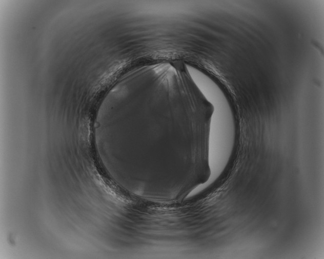 X0000099410637200806060933