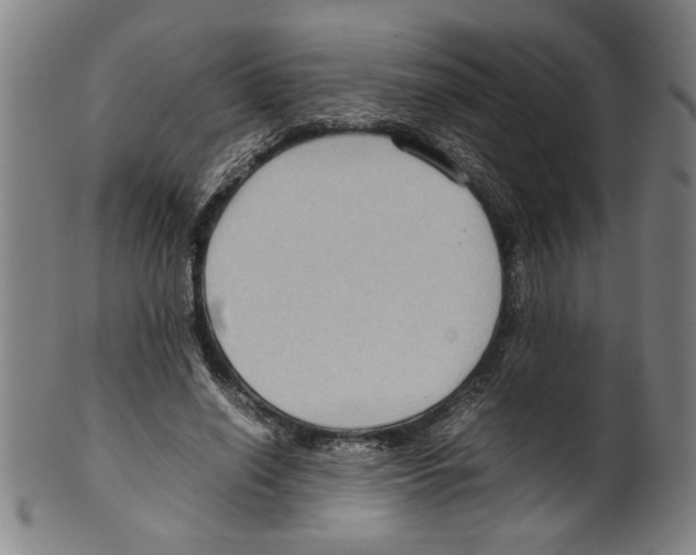 X0000099410638200806060933