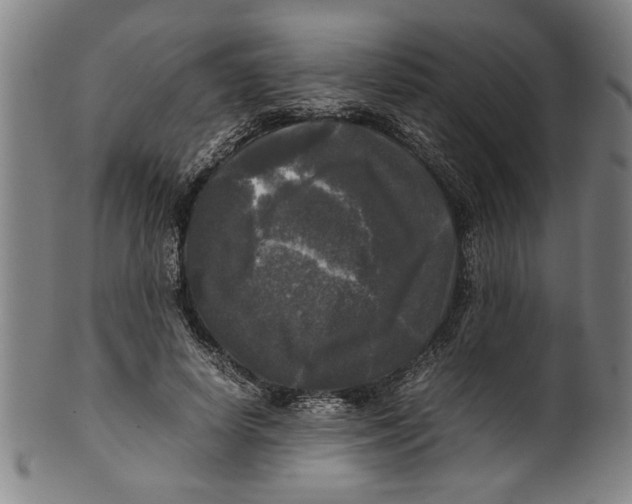 X0000099410642200806060933