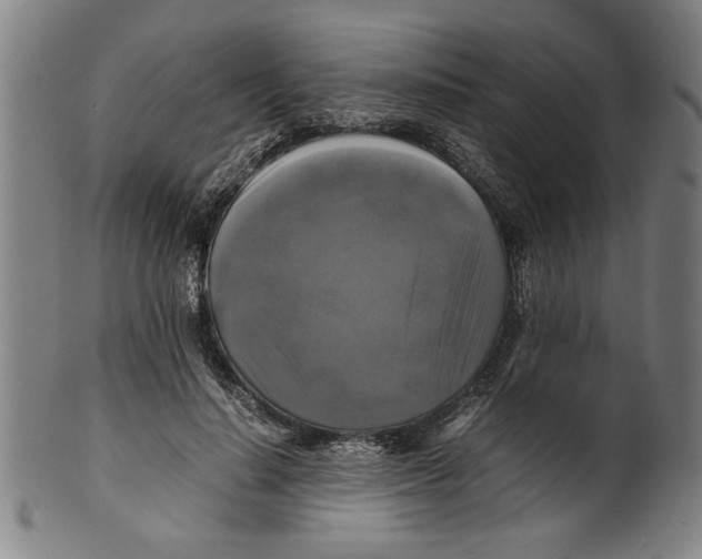 X0000099410644200806060933