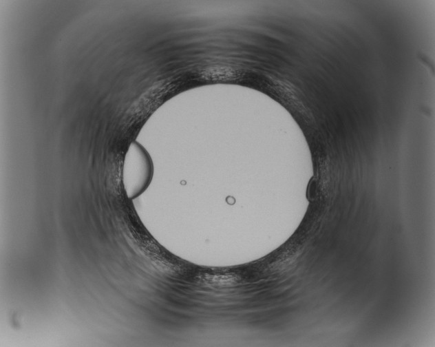 X0000099410645200806060933