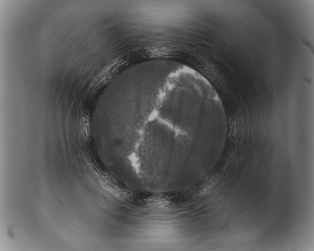 X0000099410648200806060933