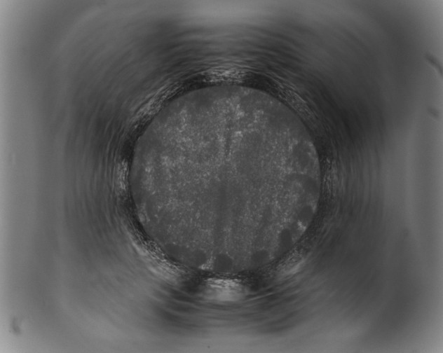 X0000099410649200806060933