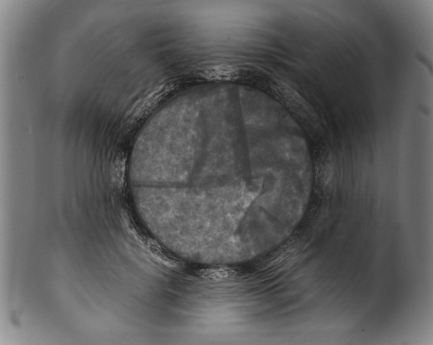 X0000099410652200806060933