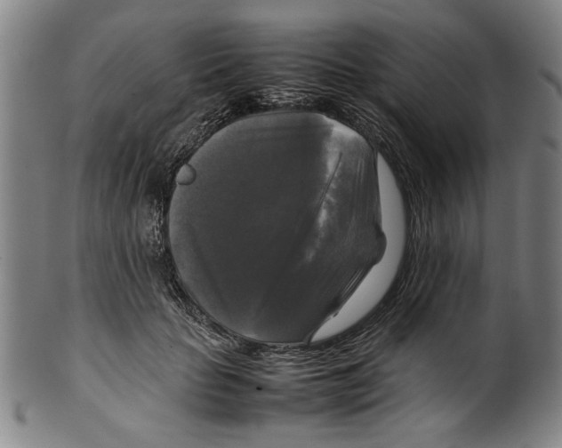 X0000099410653200806060933