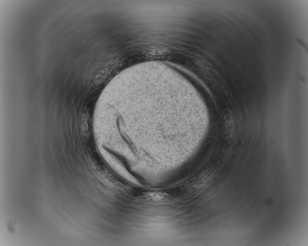 X0000099410654200806060933