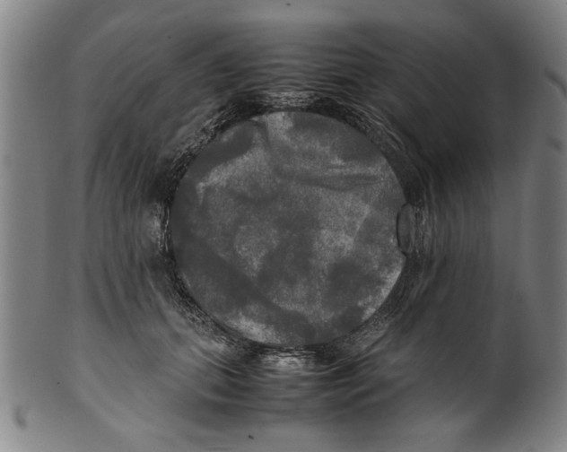 X0000099410655200806060933