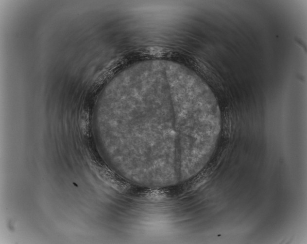 X0000099410656200806060933