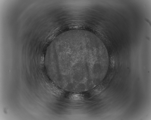 X0000099410657200806060933