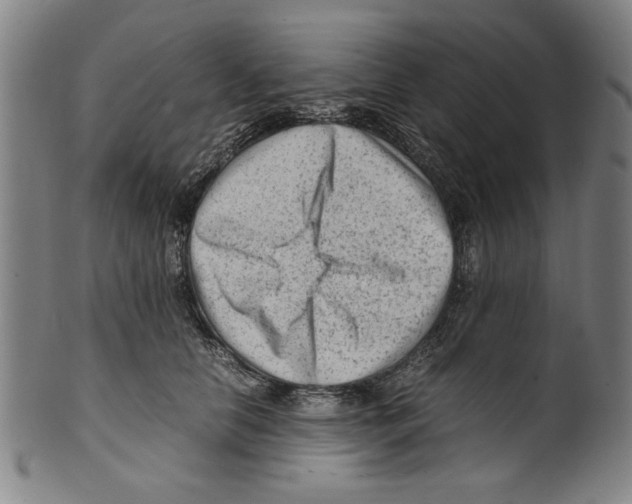 X0000099410658200806060933