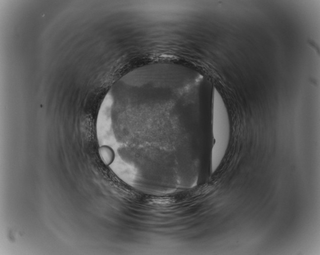 X0000099410659200806060933