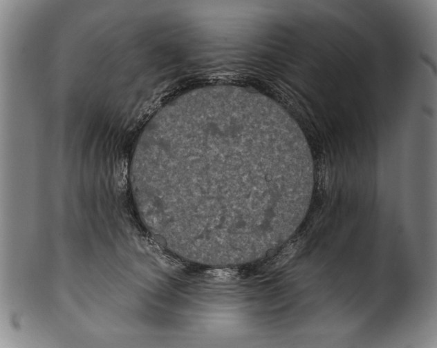 X0000099410660200806060933