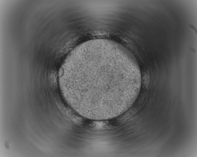 X0000099410662200806060933