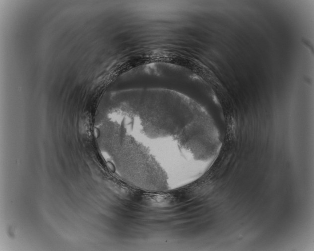 X0000099410663200806060933