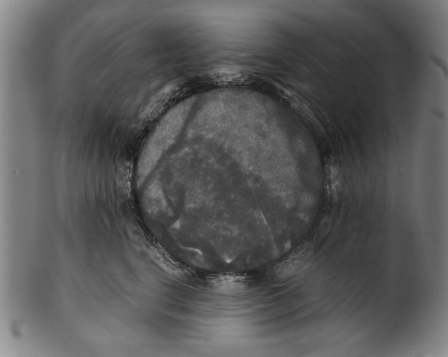 X0000099410664200806060933