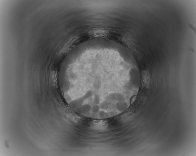 X0000099410667200806060933