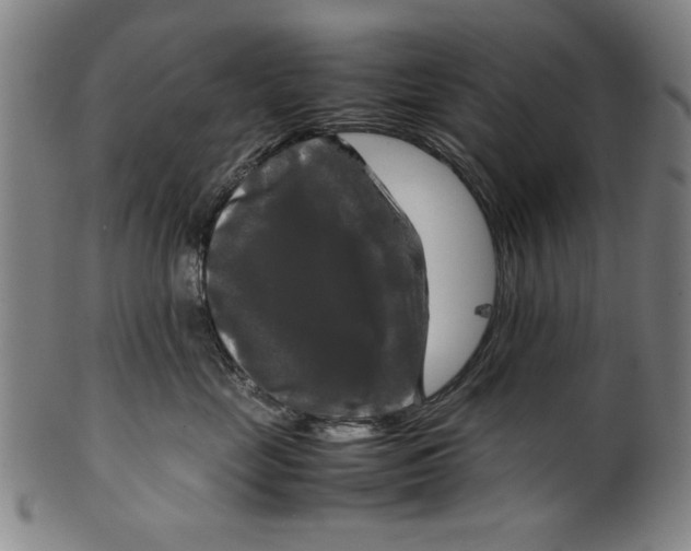 X0000099410669200806060933