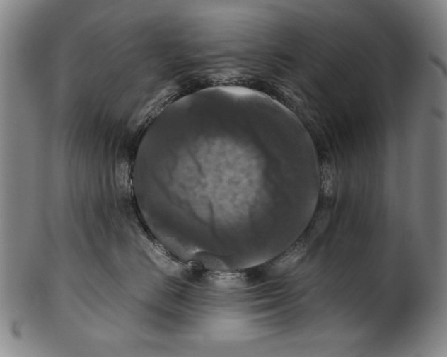 X0000099410670200806060933