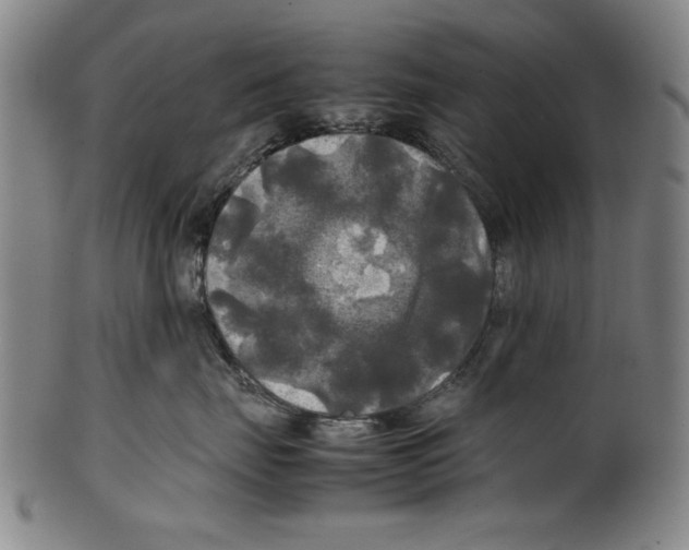 X0000099410671200806060933