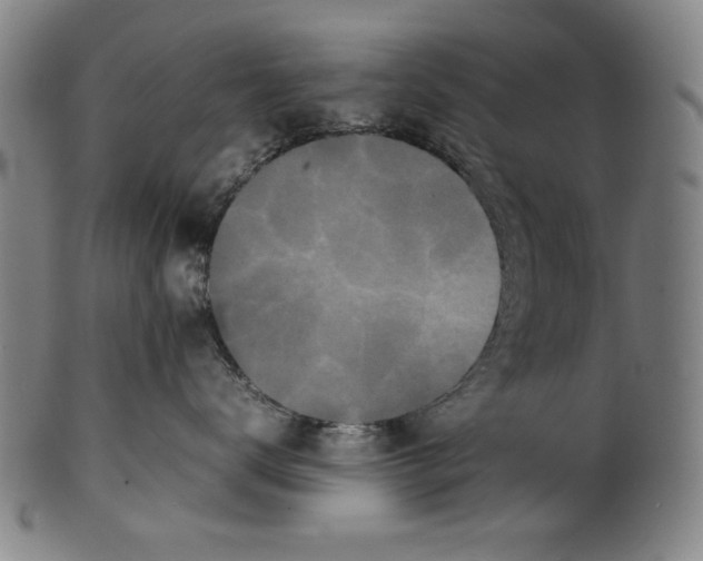 X0000099410672200806060933