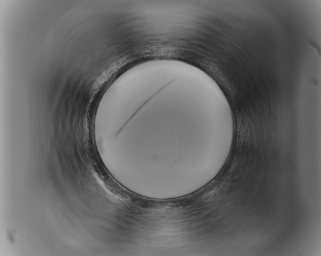 X0000099410674200806060932