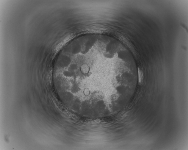 X0000099410675200806060932